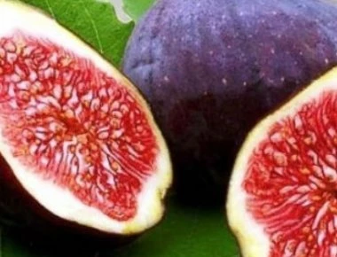 Τα 10 οφέλη του σύκου- Το απόλυτο superfood του καλοκαιριού (λίστα)